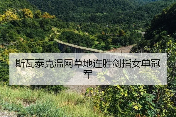si-wa-tai-ke-wen-wang-cao-di-lian-sheng-jian-zhi-nv-dan-guan-jun-2-314.jpg