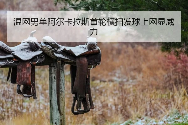 wen-wang-nan-dan-a-er-ka-la-si-shou-lun-heng-sao-fa-qiu-shang-wang-xian-wei-li-2-347.jpg