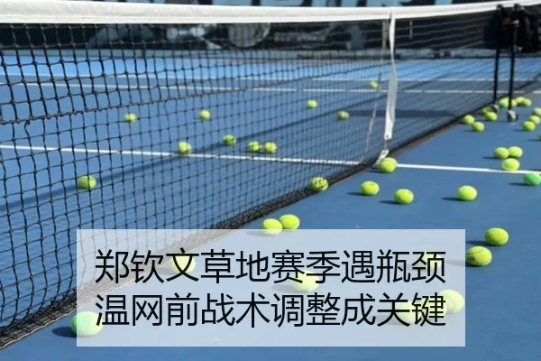 zheng-qin-wen-cao-di-sai-ji-yu-ping-jing-wen-wang-qian-zhan-shu-tiao-zheng-cheng-guan-jian-3-351.jpg